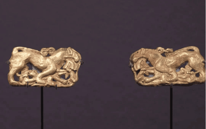 Two gold animal figurines displayed artistically.